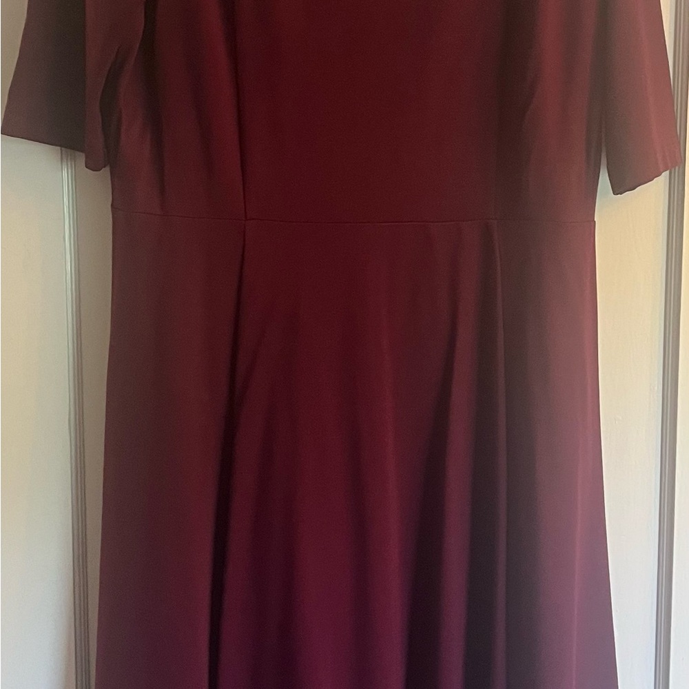 Elegant Burgundy Dress